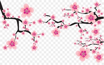 Cherry blossom Cerasus Clip art - sakura 