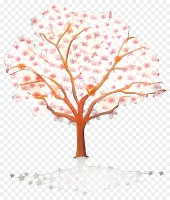 Cherry Blossom, Cherries, Blossom, Tree, Leaf PNG