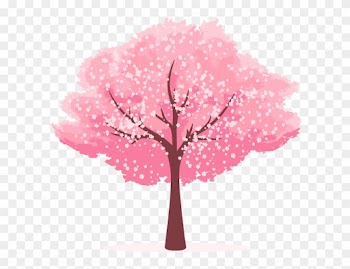 Cherry Blossom Clip Art - Cartoon Cherry Blossom Tree
