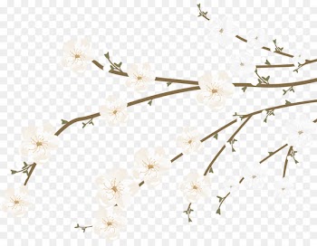 Cherry blossom Euclidean vector - Sakura decoration vector 