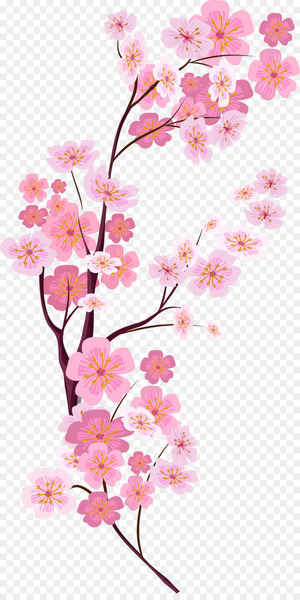 Cherry blossom Euclidean vector - Vector painted pink cherry blossoms 