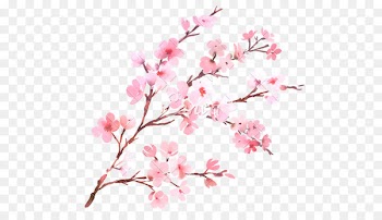 Cherry blossom Flower Branch Watercolor painting - cherry blossom 