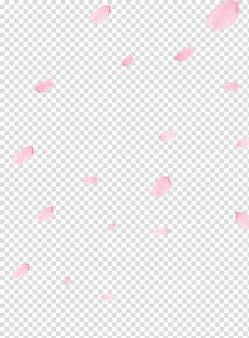 Cherry blossom Flower, Cherry blossom petals, pink flower petals transparent background PNG clipart