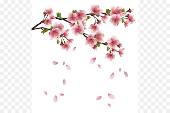 Cherry blossom Flower Clip art - Blossom Petals Png Sakura 