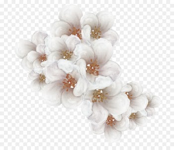 Cherry blossom Flower Clip art - Tokyo Sakura 