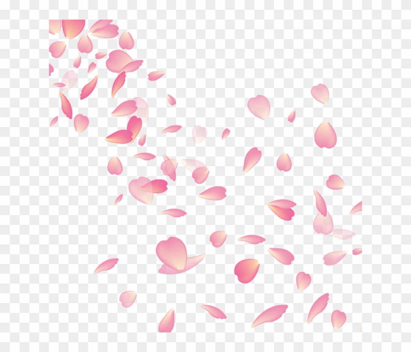 Cherry Blossom Flower Vector Png, Cherry Blossom, Flower - Cherry Blossom Petals Transparent