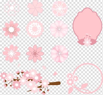 Cherry blossom Illustration, collection of hand-painted pink flowers transparent background PNG clipart