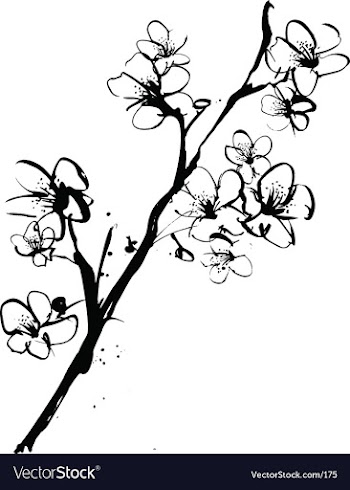 Cherry blossom ink illustration vector image