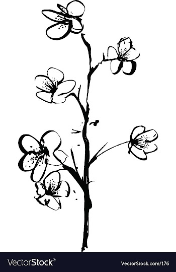 Cherry blossom ink illustration vector image