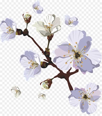 Cherry blossom - Painted cherry blossoms 