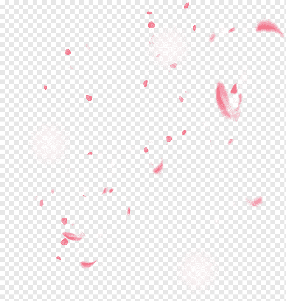 Cherry blossom Petal, cherry blossom, white, text, heart png