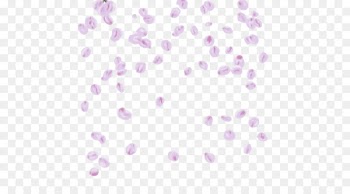 Cherry blossom Petal Wall decal Leaf - Background Transparent Png Sakura Petals Hd 