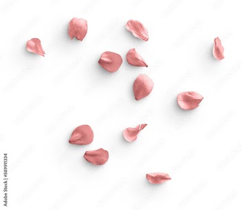 Cherry Blossom Petals Pink