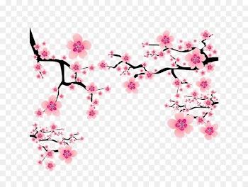 Cherry blossom Plum blossom Clip art - Vector pink Japanese elements cherry blossom branches dress up 