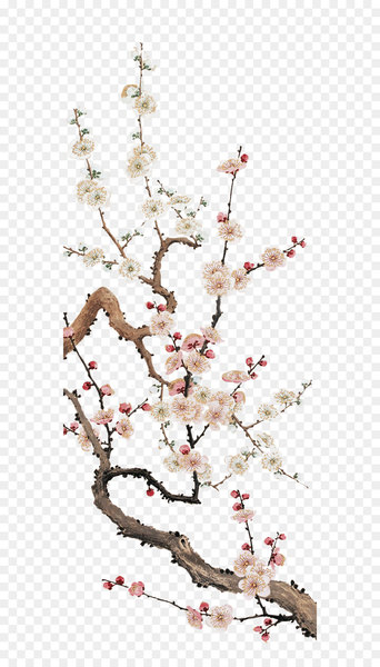 Cherry blossom Plum blossom Flower - Plum flower 