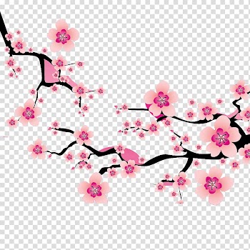 Cherry blossom Plum blossom , Plum flower transparent background PNG clipart