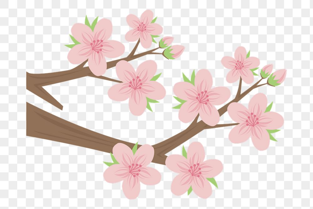 Cherry blossom png sticker, botanical | Free PNG - rawpixel