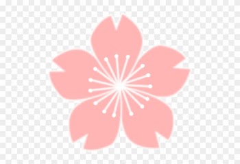 Cherry Blossom Sakura Flower Drawing Art