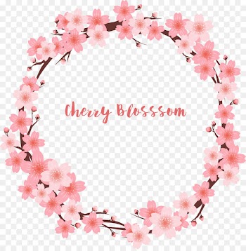 Cherry blossom Sales - Pink romantic peach rosette 
