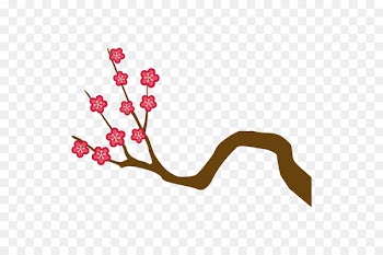 Cherry blossom ST.AU.150 MIN.V.UNC.NR AD Clip art Floral design -  