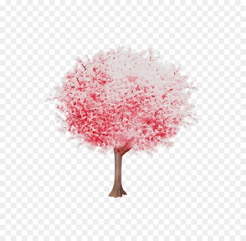Cherry blossom ST.AU.150 MIN.V.UNC.NR AD Pink M Cherries -  