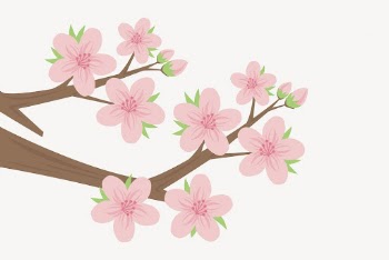 Cherry blossom sticker, botanical illustration | Free Vector - rawpixel