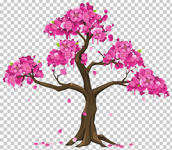 Cherry Blossom Tree Branch PNG, Clipart, Blossom, Branch, Cherry ...