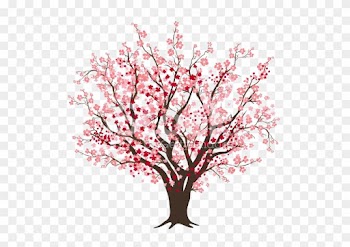 Cherry Blossom Tree Clip Art - Cherry Blossom Tree Drawing