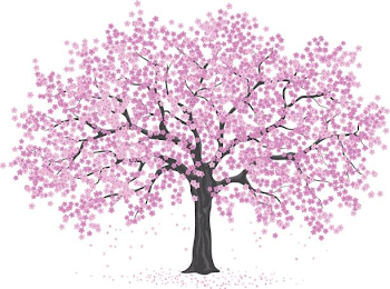 Cherry blossom tree clipart 2 » Clipart Station
