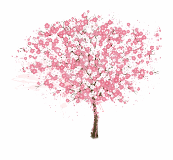 Cherry Blossom, Tree, Encapsulated Postscript, Pink, - Cherry ...