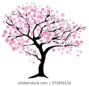 Cherry Blossom Tree Images, Stock Photos & Vectors | Shutterstock