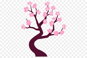Cherry blossom Vector graphics Graphic design Illustration -  