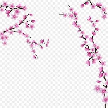 Cherry blossom Wedding invitation Flower - Cherry blossoms 
