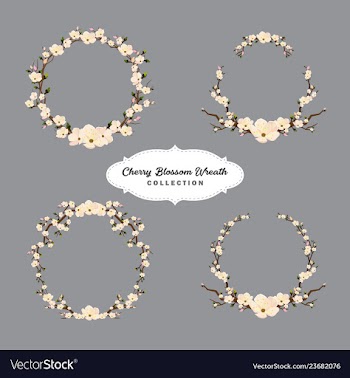 Cherry blossom wreaths collection vector image