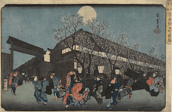 Cherry Blossoms at Night on Naka-no-chō | Free Photo - rawpixel