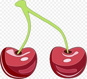 cherry clip art plant fruit drupe