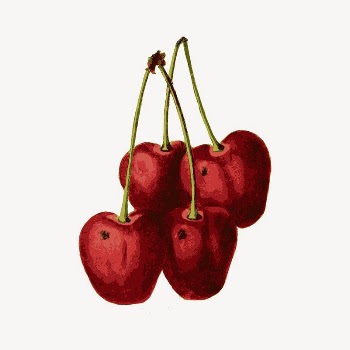 Cherry clipart, drawing illustration vector. | Free Vector Illustration - rawpixel