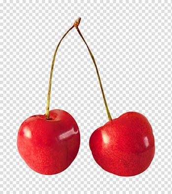 Cherry Fruit Cerasus Berry, 2 Cherry,cherries transparent background PNG clipart