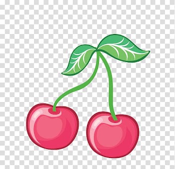 Cherry Fruit Cerasus, Cherry transparent background PNG clipart