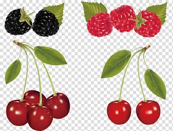 Cherry Fruit , Cherry and Mulberry transparent background PNG clipart