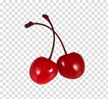 Cherry Fruit, Cherry transparent background PNG clipart