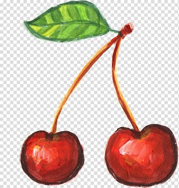 Cherry Fruit Food, cherry transparent background PNG clipart