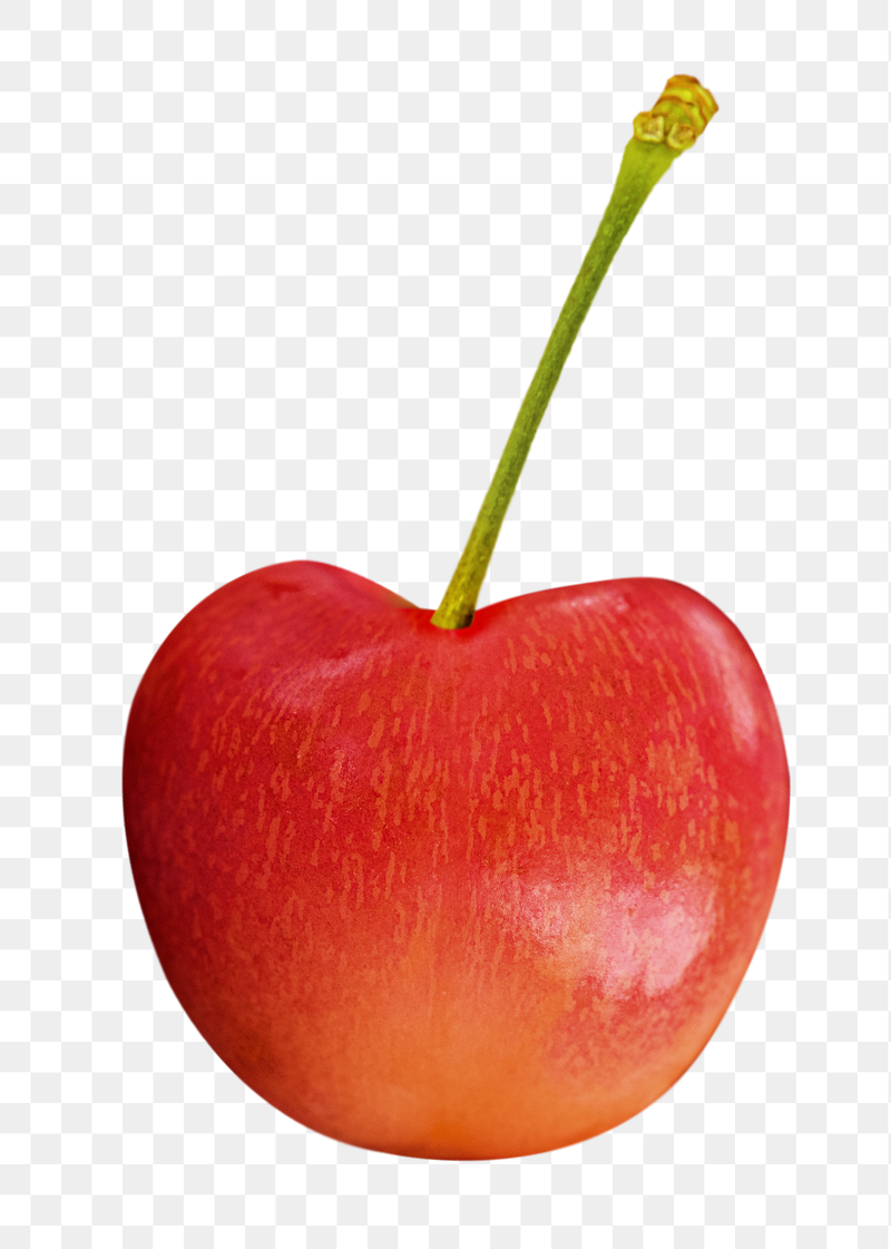 Cherry fruit png food sticker, | Free PNG - rawpixel