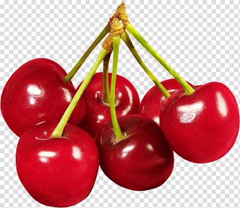 Cherry Fruit, Red Cherry transparent background PNG clipart