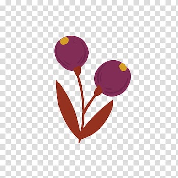 Cherry fruit transparent background PNG clipart