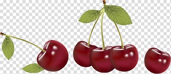 Cherry Fruit Vecteur Cerasus, fruit,Cherry transparent background PNG clipart