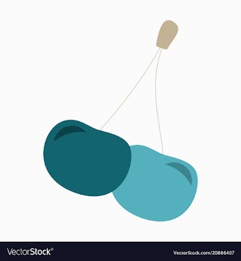 Cherry icon fruit sweet cherries fresh healthy vector image