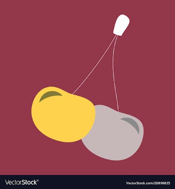 Cherry icon fruit sweet cherries fresh healthy vector image