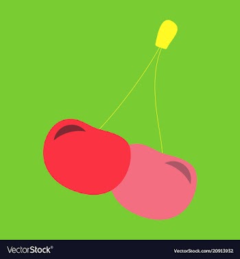 Cherry icon fruit sweet cherries fresh healthy vector image