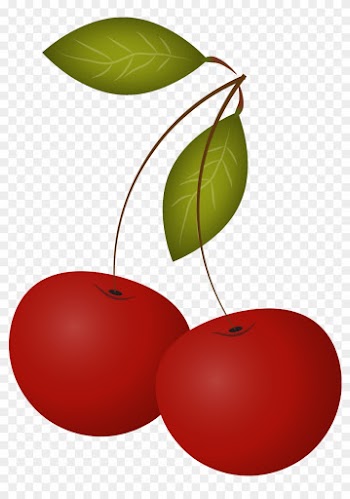 Cherry Leaf Drawing - Red
